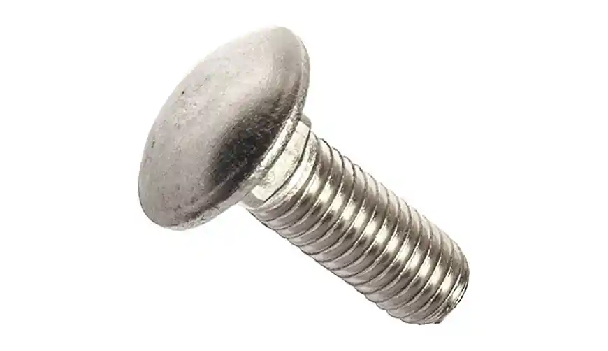 Carriage Bolts 2