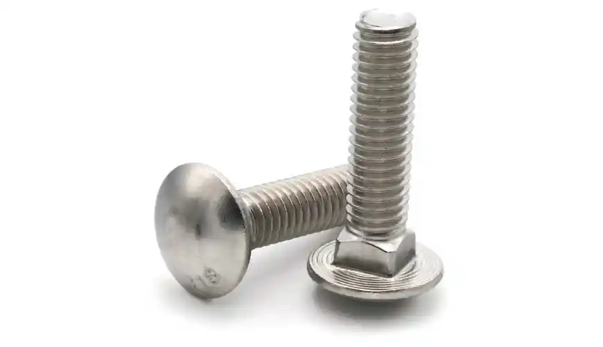 Carriage Bolts 3