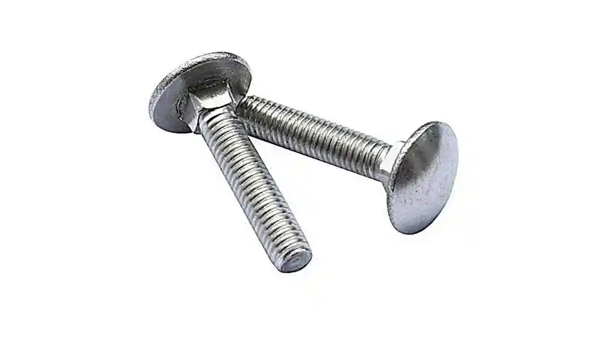 Carriage Bolts 4