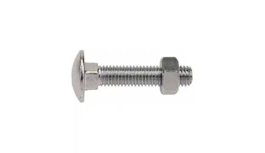 Carriage Bolts 5