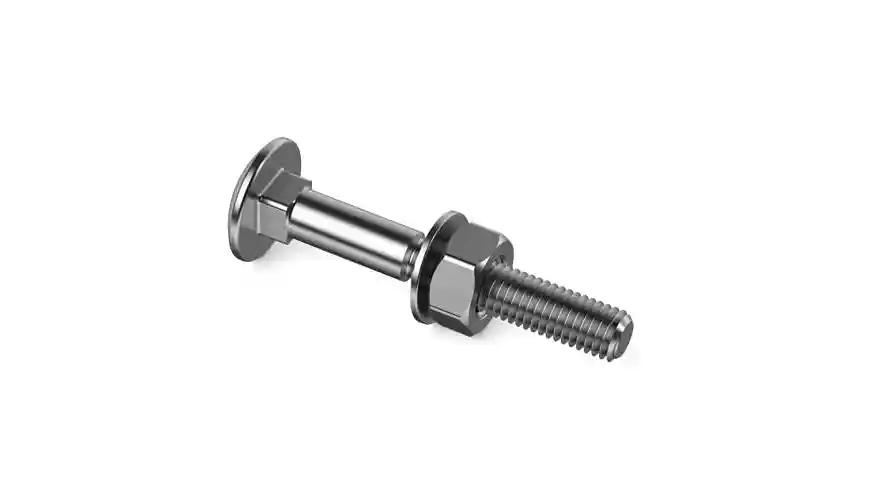 Carriage Bolts 6