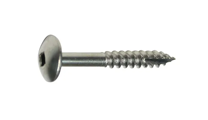 Monel 400 Screws (2)