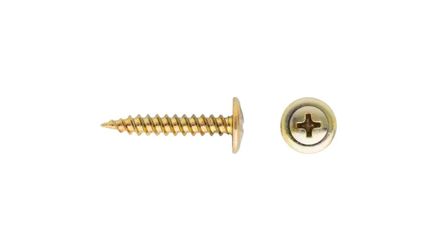 Monel 400 Screws (4)