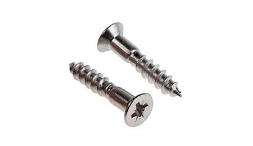 Hastelloy C22 Screws (4)