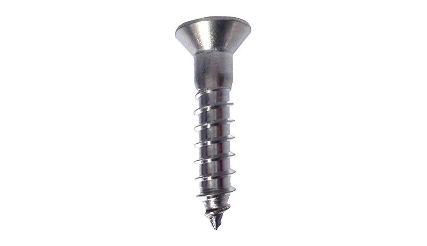 Hastelloy C22 Screws (5)