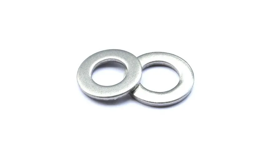 Hastelloy C22 Washers (4)